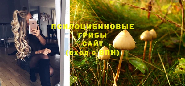 спиды Пестово